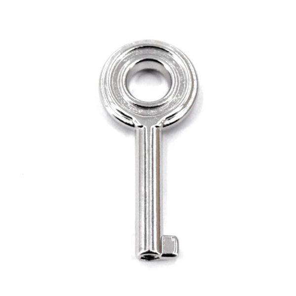 Ersatzschlüssel Nr.1 für PREMIUM-Schloss Ersatzschlüssel Nr.1 für PREMIUM-Schloss